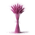 With pointed feathery grain heads creating a visually striking Royalty Free Stock Photo