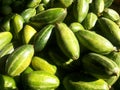 Pointed gourd Royalty Free Stock Photo