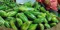 Pointed gourd fresh green vegetables kept into the farmers goods store Royalty Free Stock Photo