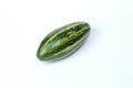 Pointed gourd potol Royalty Free Stock Photo