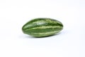 Pointed gourd potol Royalty Free Stock Photo