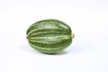 Pointed gourd potol Royalty Free Stock Photo