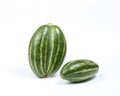 Pointed gourd potol Royalty Free Stock Photo