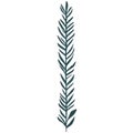 pointed leaf tree cartoon element Royalty Free Stock Photo