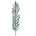 pointed leaf tree cartoon element Royalty Free Stock Photo