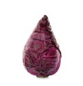 Pointed red cabbage on white background. Royalty Free Stock Photo