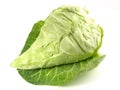 Pointed Cabbage on white Background - Isolated Royalty Free Stock Photo
