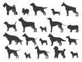 Pointer dog silhouette. Black dogs sizes and breeds, animals silhouettes, canine companion, small puppy size, retriever Royalty Free Stock Photo