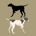 Pointer dog vector illustration style Flat