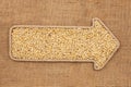 Pointer made from rope with grain barley lying on sackcloth