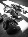 Pointer puppy with teddy puppy sleeping in the sun, black and white Royalty Free Stock Photo