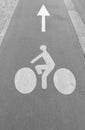 Pointer on the road for cyclists.