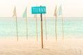 Pointer on a tropical beach against the background of the azure sea and blue sky. Blue flags on the sandy shore Royalty Free Stock Photo