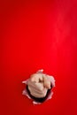 Pointing hand through hole Royalty Free Stock Photo