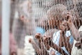 POINTNOIRE/CONGO - 18MAY2013 - African children behind iron net