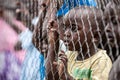 POINTNOIRE/CONGO - 18MAY2013 - African children behind iron net