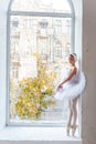 Poised young ballerina in classic tutu White Swan poses by panoramic window with sunlit