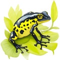 Poison dart frog in cartoon style. Cute Little Cartoon Poison dart frog isolated on white background. Watercolor drawing, hand- Royalty Free Stock Photo