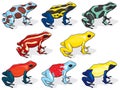 Poison Dart Frogs Royalty Free Stock Photo