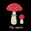 Poison mushroom on black background. vector illustration in cartoon style for card design