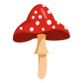 Poison mushroom icon, cartoon style