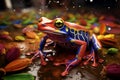 Poison vivid color frog. Poisonous animal of tropical rainforest. Pet in terrarium Royalty Free Stock Photo