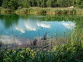 Poisoned lake in opencast mine Muzakow, Leknica Royalty Free Stock Photo