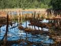 Poisoned lake in opencast mine Muzakow, Leknica Royalty Free Stock Photo