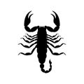 Poisonous black scorpion silhouette. Dangerous venomous arachnid with large claws