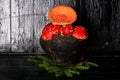 Poisonous fly agaric mushrooms in a vintage gray cast iron pot on a black wooden background ingredient for magic potions