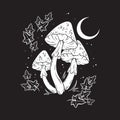 Poisonous mushrooms fly agaric toadstool hand drawn in graphic style isolated vector illustration