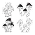 Poisonous mushrooms fly agaric toadstool set hand drawn in graphic style isolated vector illustration