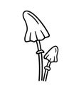 Poisonous mushrooms. Hand drawn icons of forest plants. Amanita virosa. Vector illustration in doodle line style. Royalty Free Stock Photo