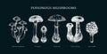 Poisonous mushrooms sketches set. Hand-drawn deadly fungus illustrations collection on chalkboard. Poisonous forest plants, Royalty Free Stock Photo