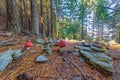 POISONOUS MUSHROOMS AND STACKING STONES IN THE WOOD.