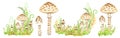 Poisonous Mushrooms Watercolor Set, Toadstool, Inedible Toxic Mushroom, Fly Agaric, White Toadstool. Isolated Hand Drawn