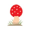 Poisonous red mushroom nature food vegetarian healthy autumn edible and fungus organic vegetable raw ingredient vector