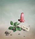 Poisonous red mushroom with the tag Drink me Ea Royalty Free Stock Photo