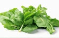 Pok Choi, cut out isolated on white background