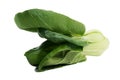 Pok Choi freshly cleaned Royalty Free Stock Photo