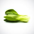Pok Choi green vegetables on white background Royalty Free Stock Photo