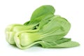 Pok Choi Royalty Free Stock Photo