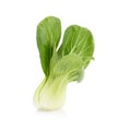 Pok Choi on white background Royalty Free Stock Photo