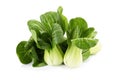 Pok Choi on white background Royalty Free Stock Photo