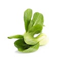Pok Choi on white background Royalty Free Stock Photo