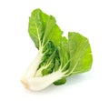 Pok Choi on white background Royalty Free Stock Photo
