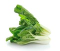 Pok Choi on white background Royalty Free Stock Photo