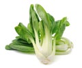 Pok Choi on white background Royalty Free Stock Photo