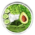 Poke. Set of rice, avocado, green peas, cucumbers, asparagus and lettuce. Hand drawn watercolor illustration. Vector