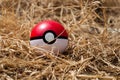 Pokeball in dry grass